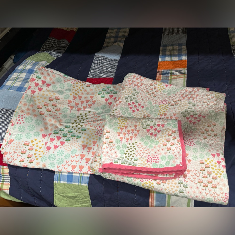 Pillowfort Quilt, sham and curtain Fetching Floral